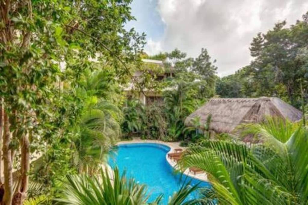 Condo Complex With An Alluring Pool & Tropical Vibes By Stella Rentals! Tulum Extérieur photo